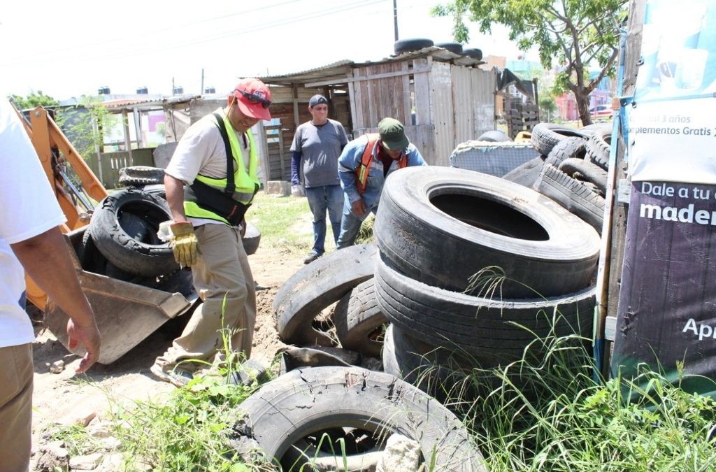 Por proliferación de arañas viuda negra, realizan descacharrización en colonia de Veracruz