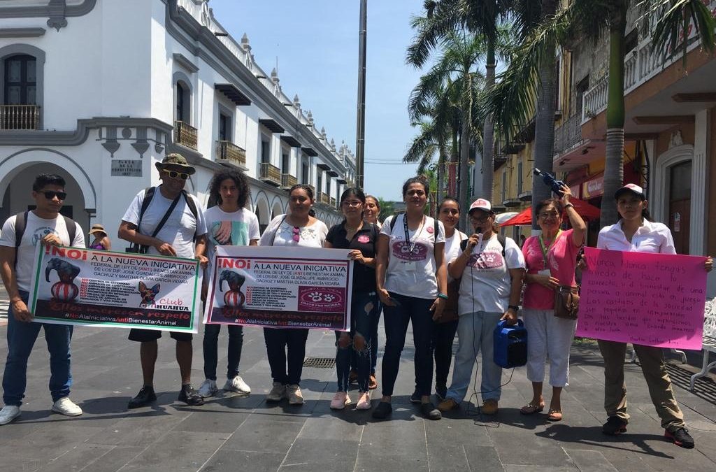 Se manifiestan en Veracruz contra reformas a las ley de bienestar animal