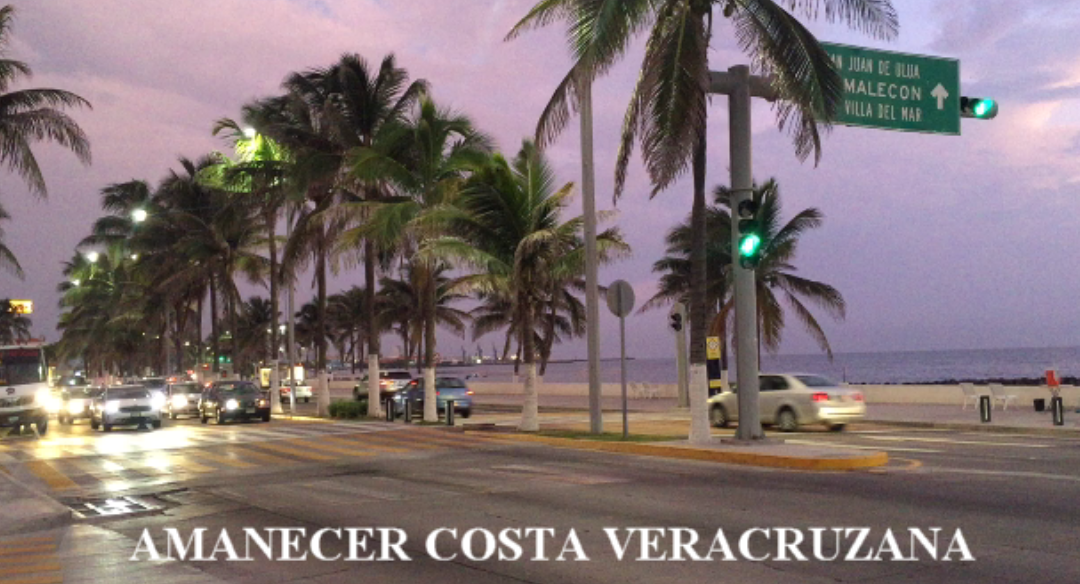AMANCER COSTA VERACRUZANA