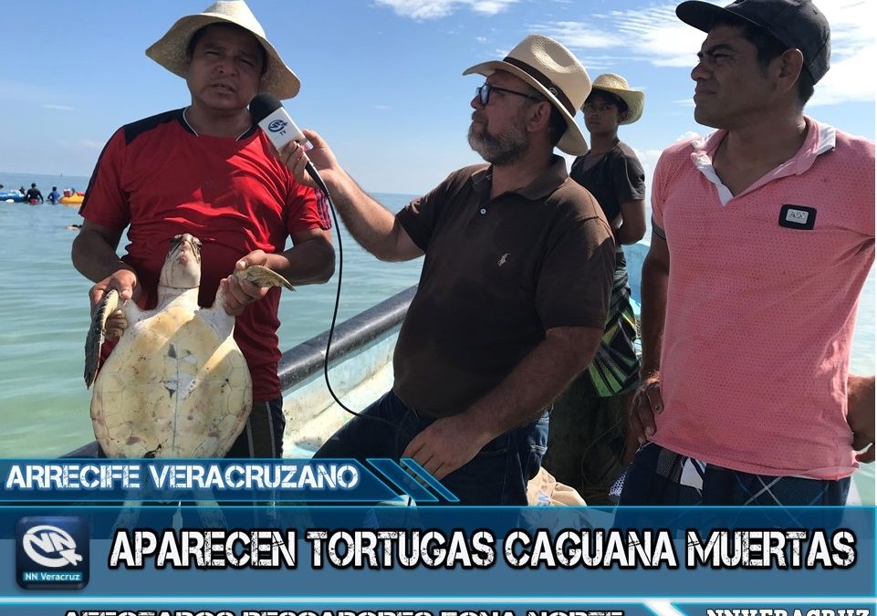 PESCADORES AFECTADOS EN VERACRUZ