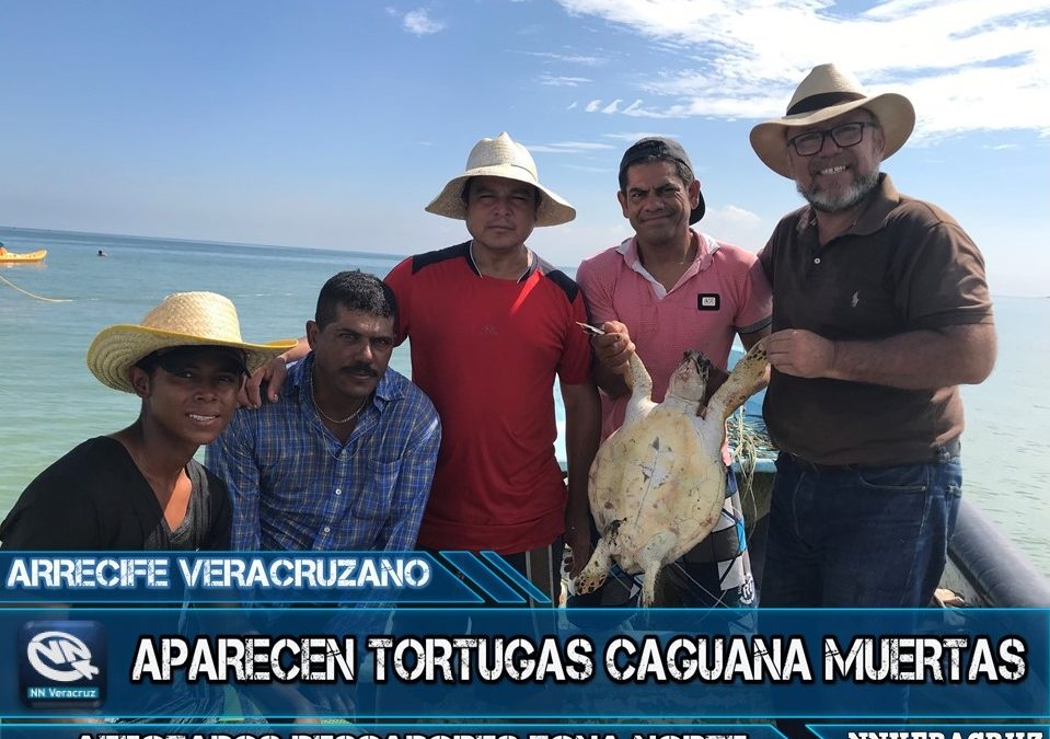 NO SOLO TORTUGAS MUESTRAS ENCONTRAMOS, TAMBIÉN OTRAS ESPECIES; PESCADORES PLAYA NORTE