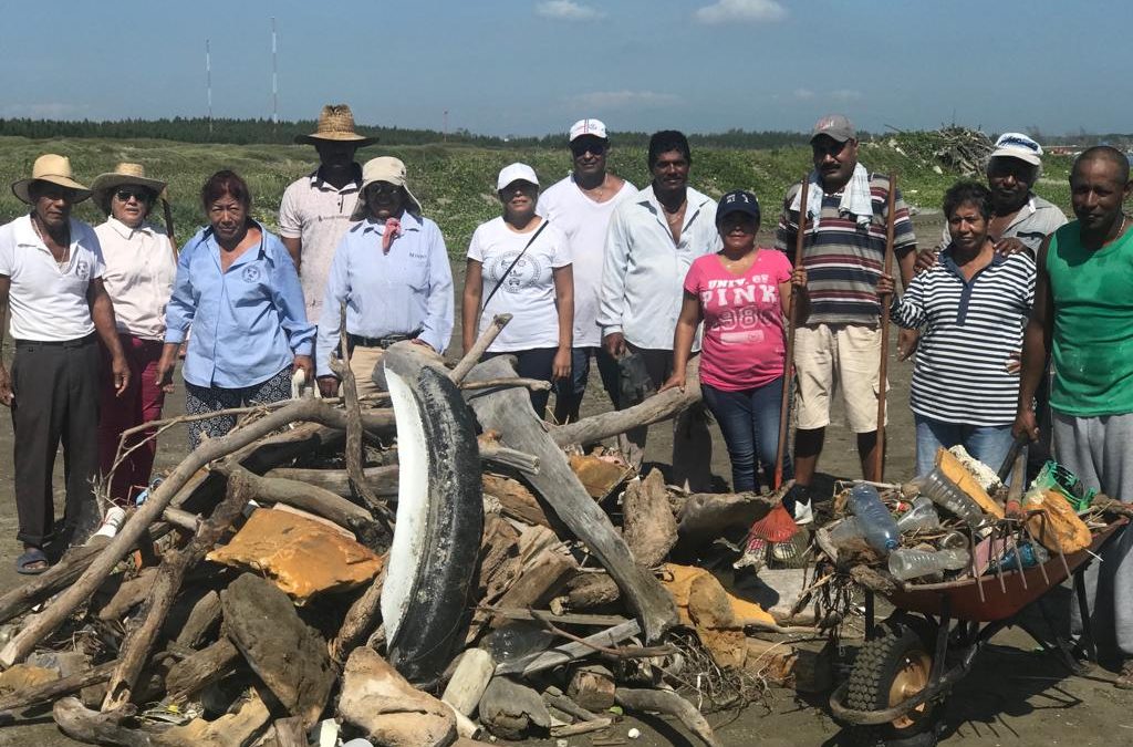Pescadores del puerto de Veracruz reportan descargas de aguas negras directas al mar