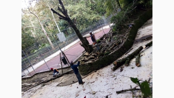 Se cerrará el parque Los Tecajetes por mantenimiento del arbolado