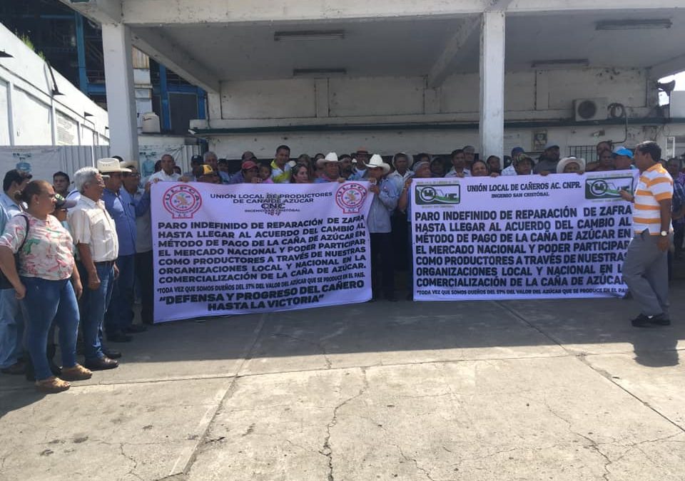 Veracruz se suman a paro nacional de ingenios, exigen precio justo
