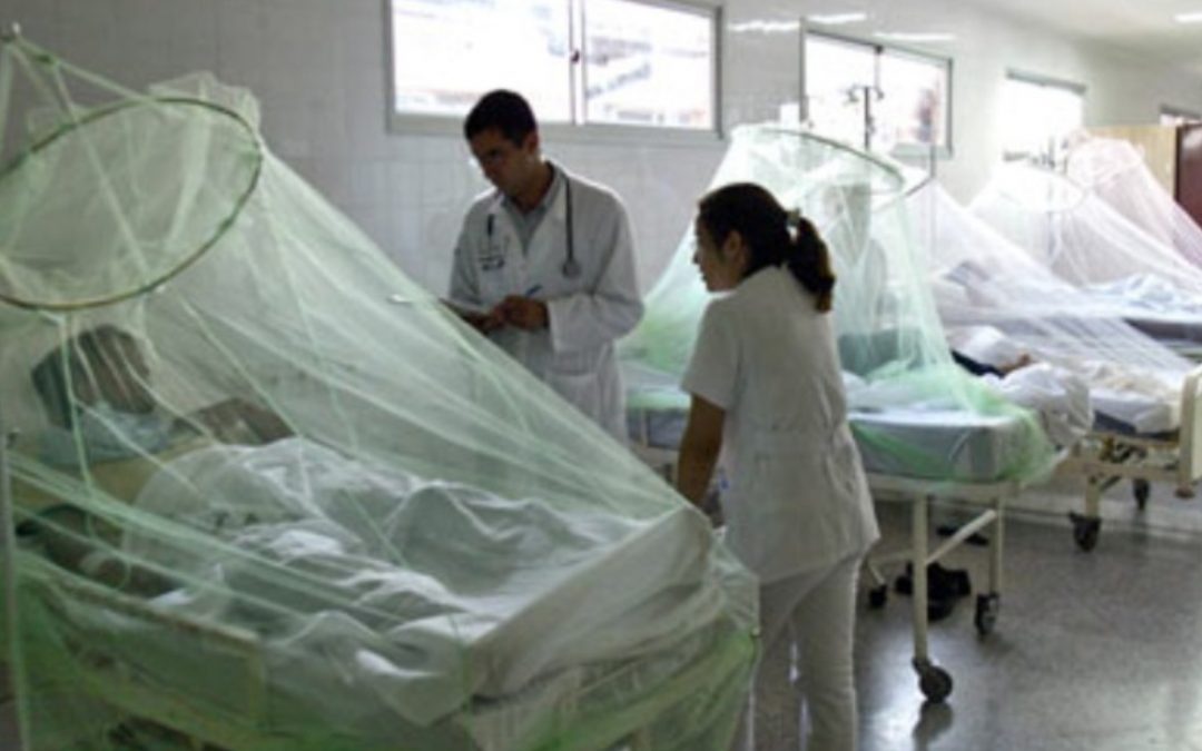 Sector salud no puede con el dengue