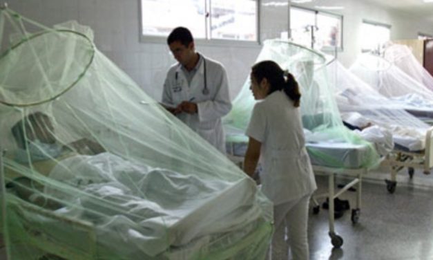 Sector salud no puede con el dengue