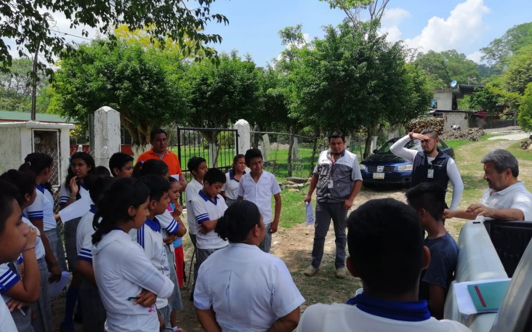 Cerco sanitario en Palo de Rosa ante los casos sospechosos de dengue