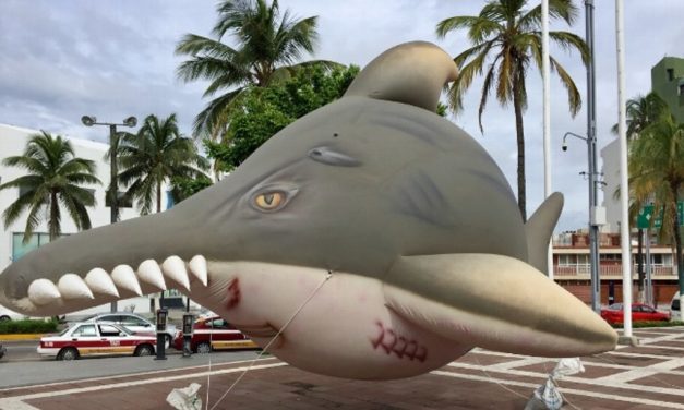 Conmemoran el Día Internacional del Pez Sierra; el Acuario de Veracruz eleva globo