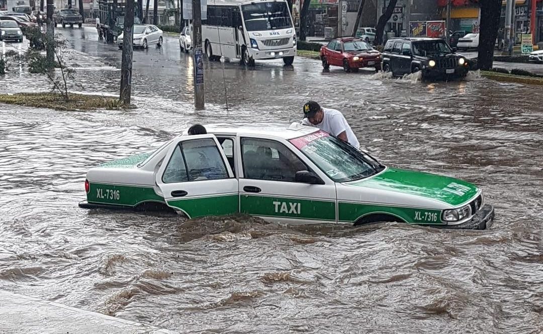 Fuerte aguacero en Xalapa genera anegaciones y árboles caídos