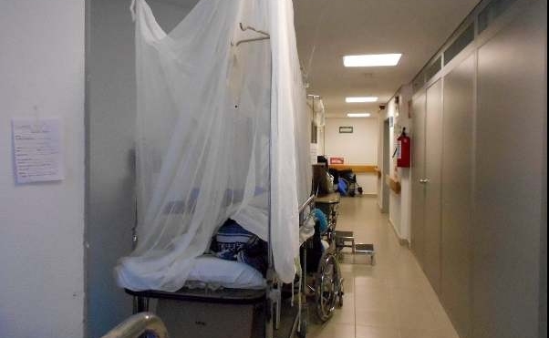 Suman ya 15 defunciones por dengue en Veracruz