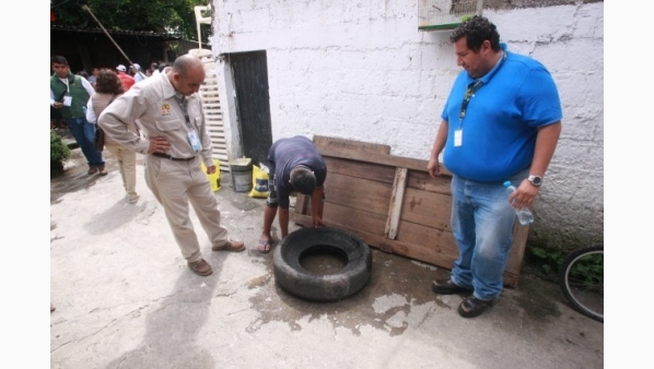 Solo hay 22 vectores para atender acciones contra el dengue en 26 municipios