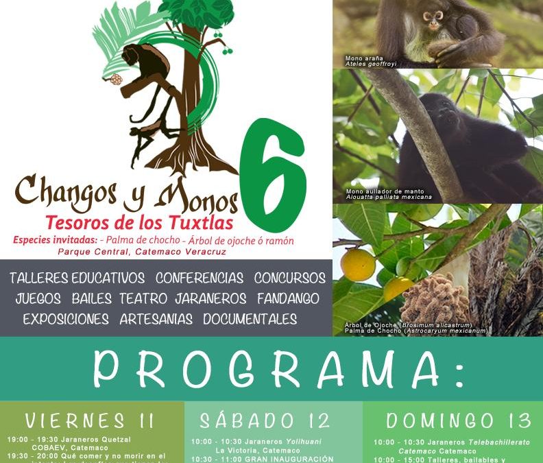 Presenta SECTUR Sexto Festival “Changos y Monos Tesoros de los Tuxtlas”