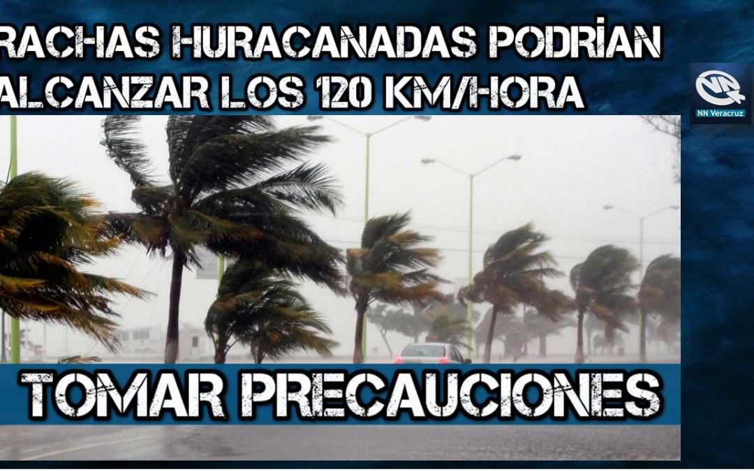Rachas del norte podrían alcanzar los 120 km/hora en Veracruz: Meteorólogo