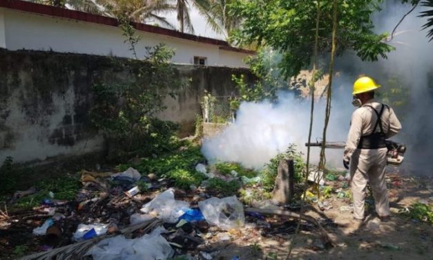 Veracruz está en crisis por dengue, la enfermedad ya es una epidemia