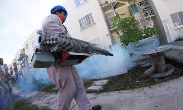 A la semana 41 registran 15 decesos y 7 mil casos de dengue en Veracruz