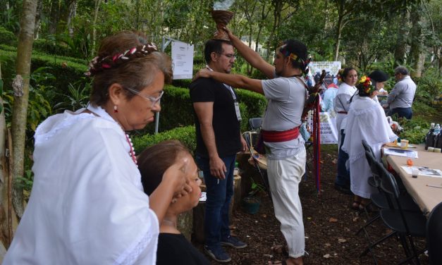 La medicina tradicional, presente en el sistema de salud de Veracruz