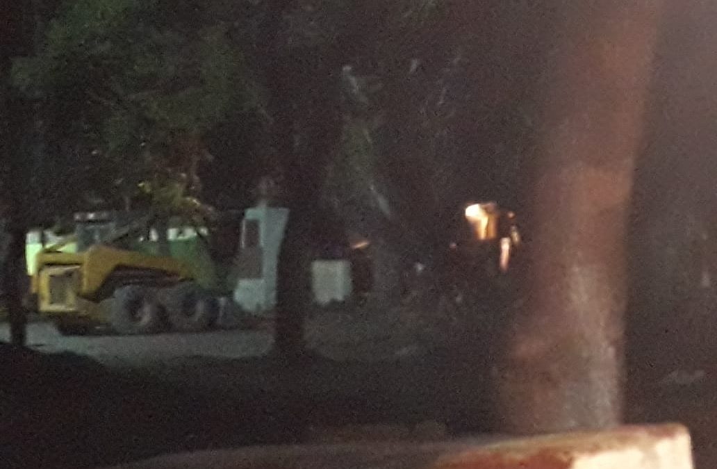 Ecocidio en Medellin de Bravo, Veracruz (VER VIDEO Y FOTOS)