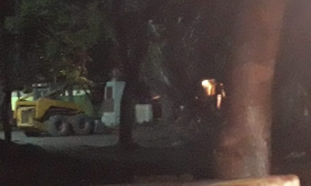 Ecocidio en Medellin de Bravo, Veracruz (VER VIDEO Y FOTOS)