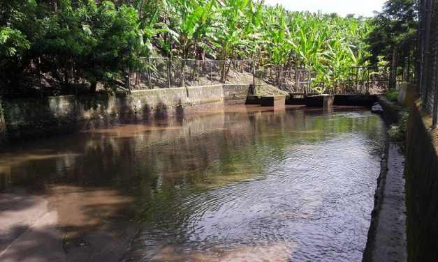 Ayuntamiento de Tlapacoyan, indiferente a la contaminación del agua del sistema municipal