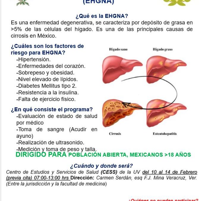 UV inicia  Programa de Detección oportuna de Hígado graso
