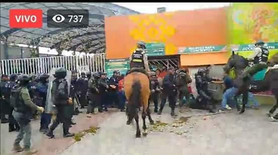 Con violencia la Guardia Nacional Libera el parque temático en el Tajin (FOTOS)