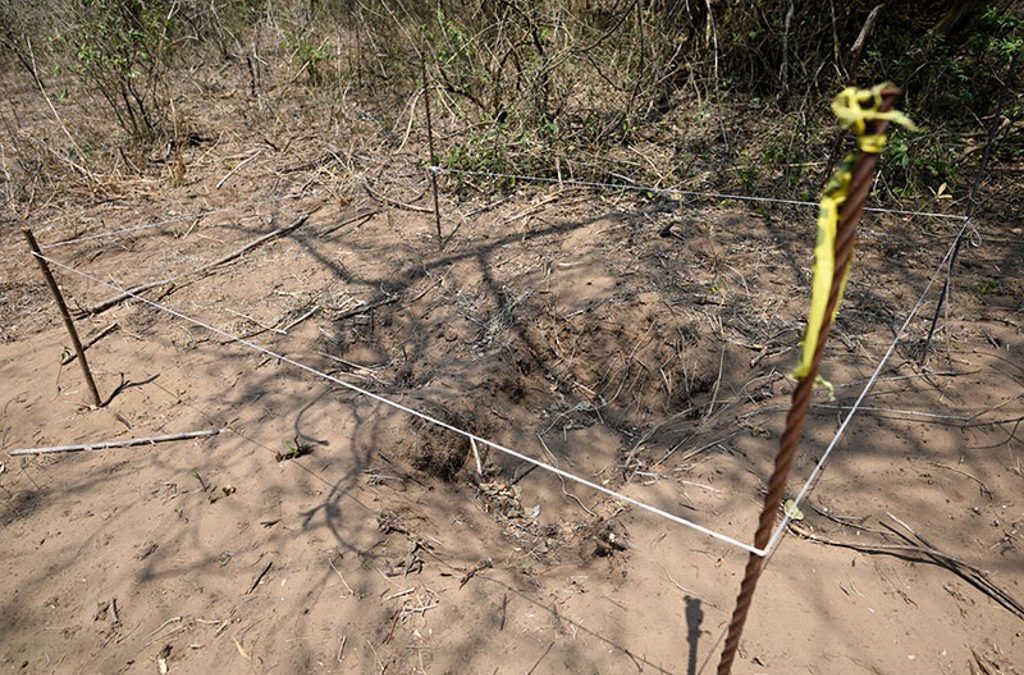 Entregan a familiares primeros 3 cuerpos de fosas clandestinas de Veracruz