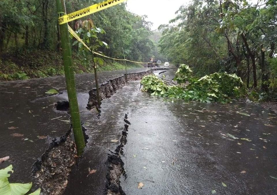 Colapsa la carretera Misantla – Díaz Mirón (VIDEO)