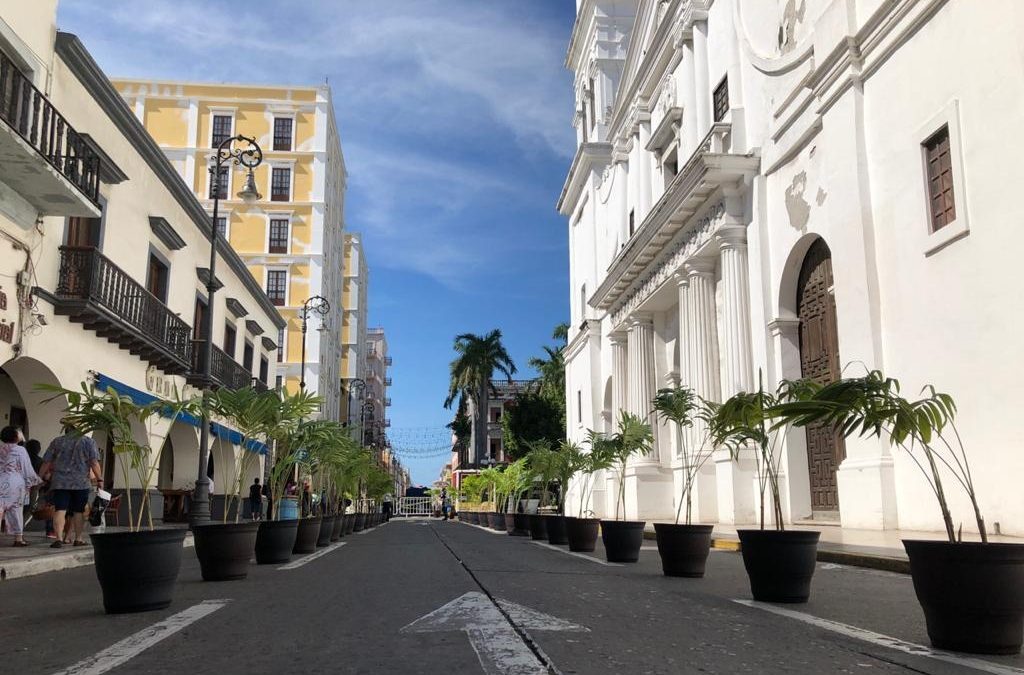 Este fin de semana fueron colocadas alrededor de 30 macetas en la avenida Independencia