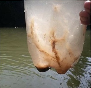 Denuncian presunta contaminación al río en Brinco del Tigre