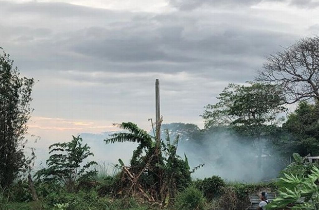 Continúan labores para sofocar incendio de pastizal en Laguna Real, en Veracruz