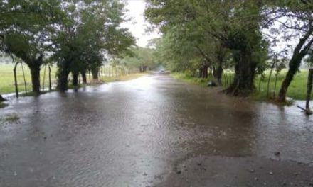 Inundadas comunidades de Pajapan