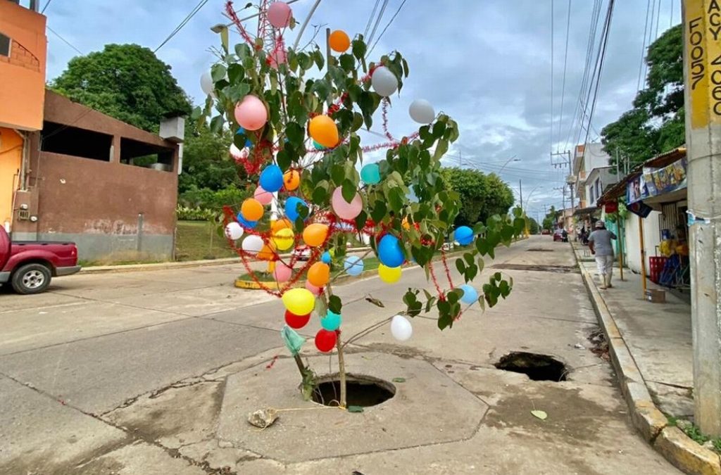 Al puro estilo jarocho, alertan de socavón con una rama navideña