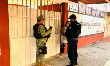 ROBAN LA ESCUELA PRIMARIA ESTATAL «MARIANA DEL TORO DE LAZARÍN»