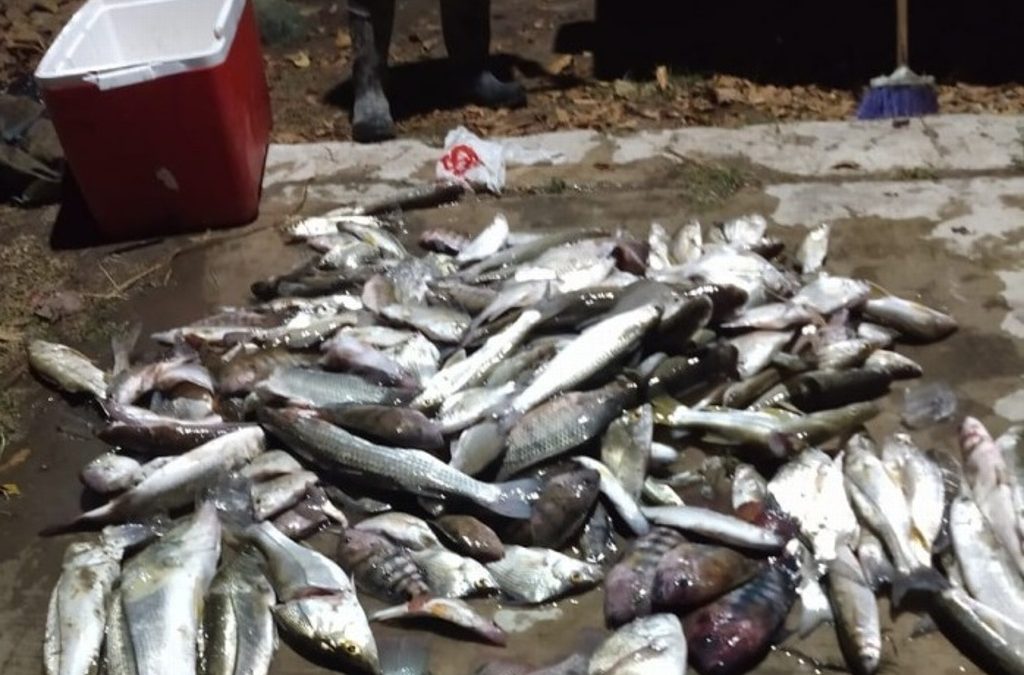 PESCADORES DENUNCIAN MORTANDAD DE PECES