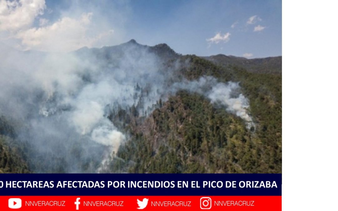 400 HECTAREAS AFECTADAS POR INCENDIOS EN EL PICO DE ORIZABA