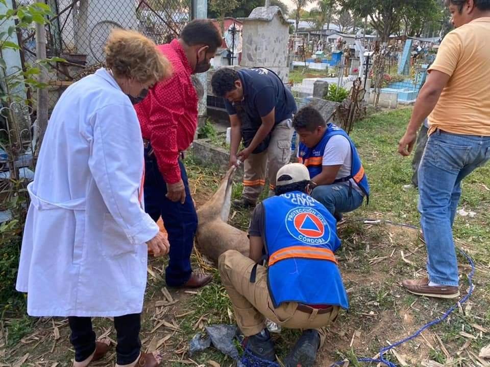 fb_img_16186278607187827398920991864838