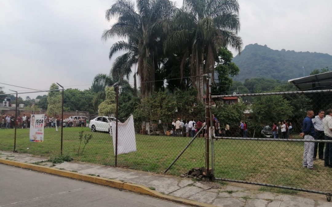 MUERE MENOR AL CAERLE UNA PALMERA