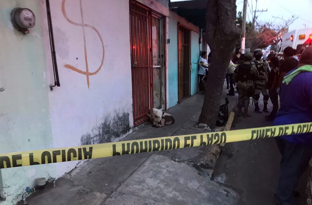 Pitbull ataca a mujer de la tercera edad y la mata, en Veracruz Puerto