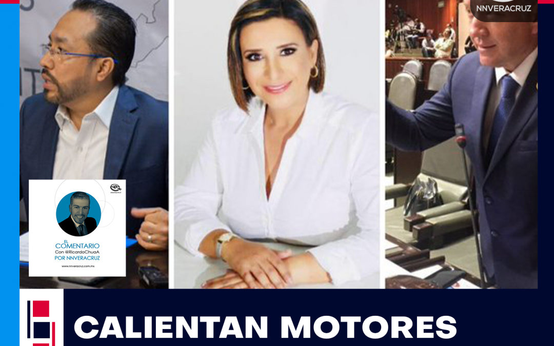 EL PAN, SUS «GALLOS» Y SU DIRIGENCIA ESTATAL