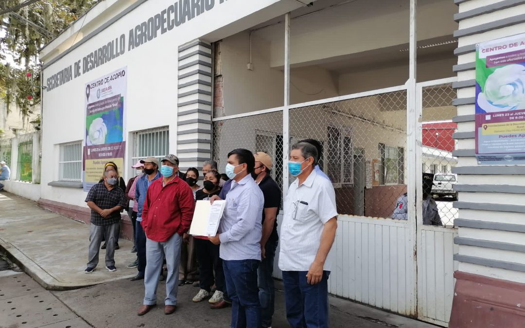 PRODUCTORES DE CITRICOS AFECTADOS POR «GRACE» PIDEN AYUDA A SADARPA