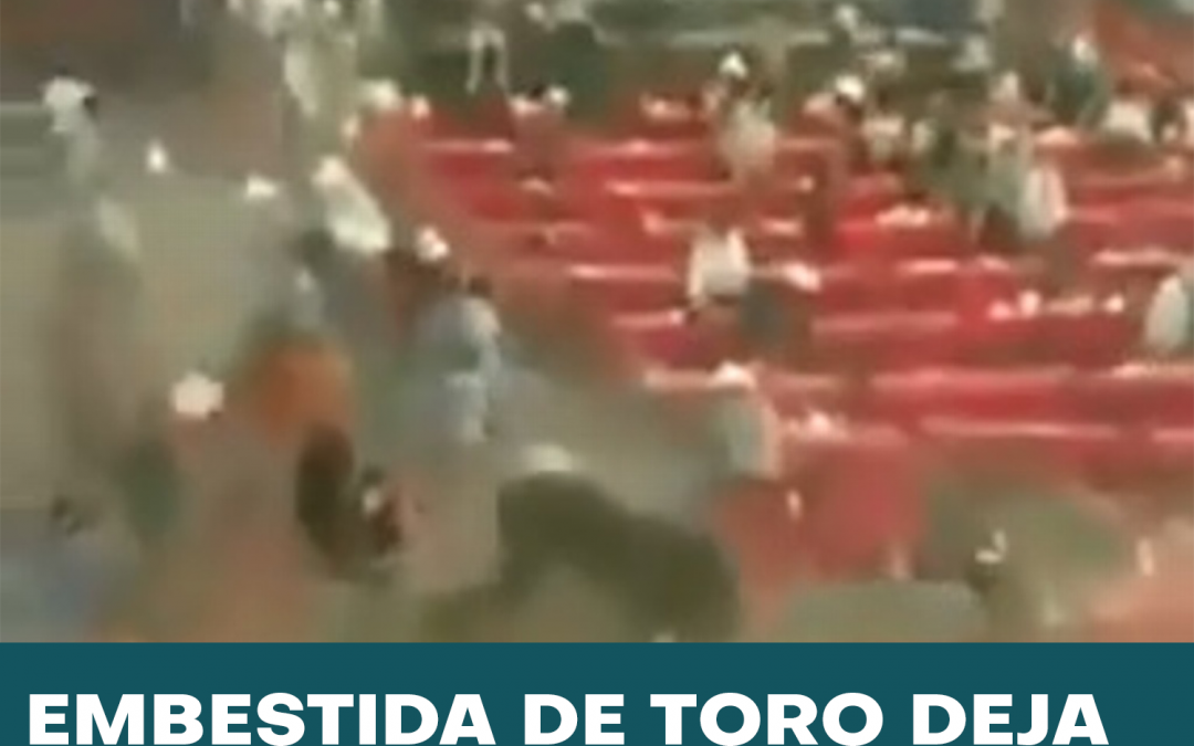 ???? ?? ?????????? ????????? ?? ????