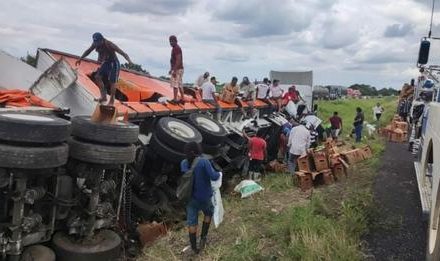 Vuelca tráiler cargado con cerveza en la autopista Cosamaloapan – Tinajas