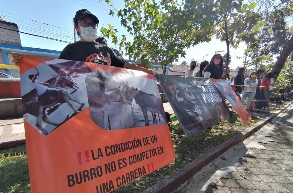 Animalistas protestan contra carrera de burros en Orizaba