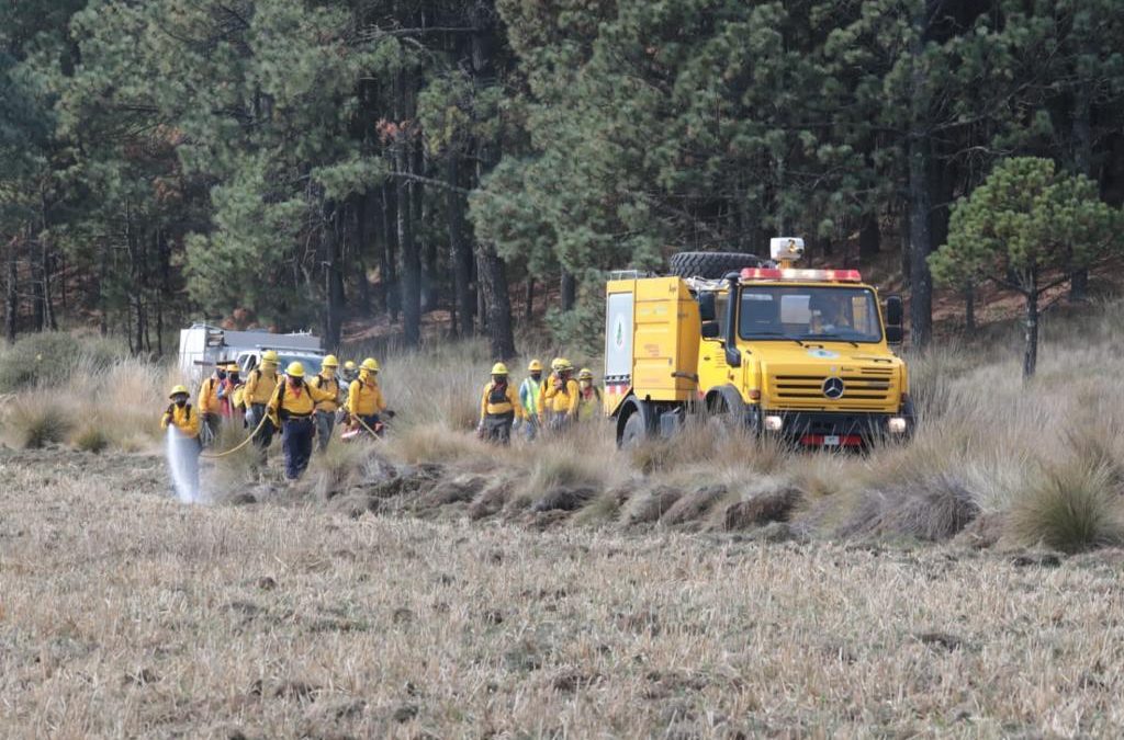 Veracruz preparado para la Temporada de Incendios Forestales 2022