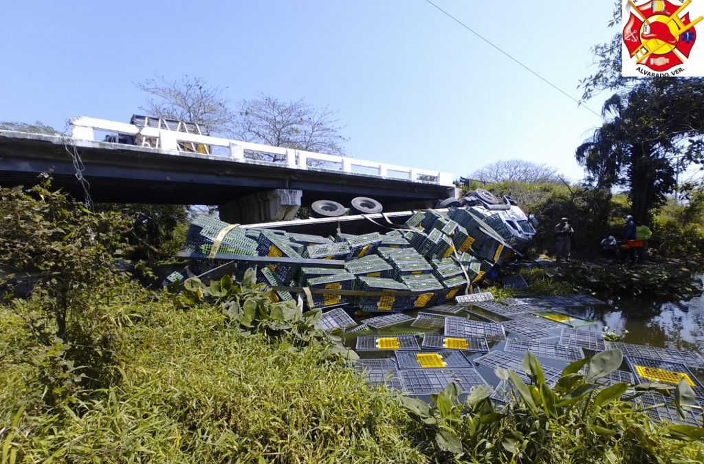 CAE CAMION DE PUENTE EN PASO DEL TORO