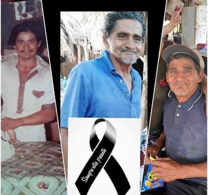 FALLECE ABUELITO ATACADO POR PERROS PITBULL