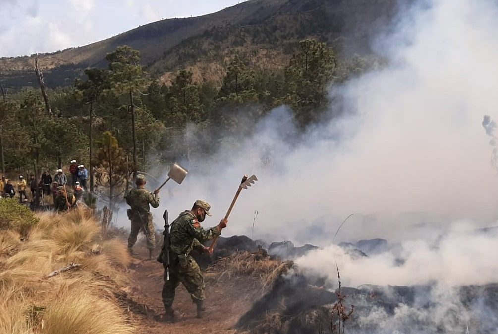 Sofocan incendio de pastizal en La Perla, Veracruz