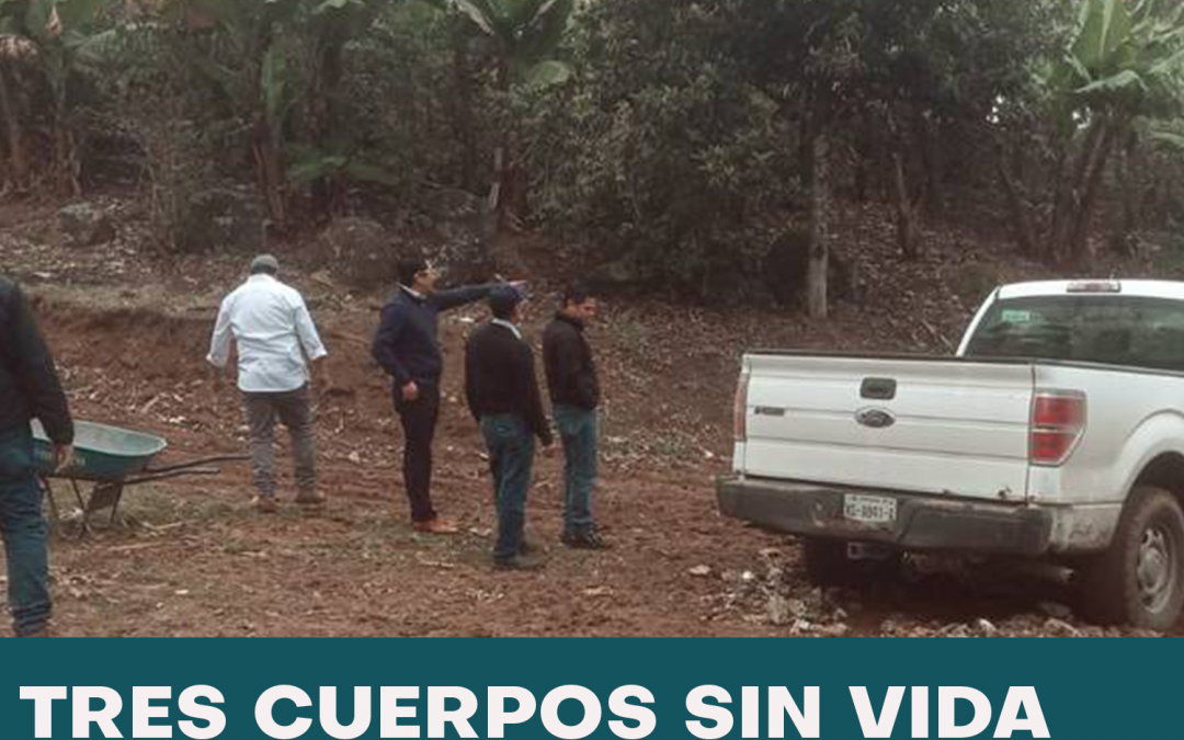 ENCUENTRAN TRES CUERPOS EN XALAPA