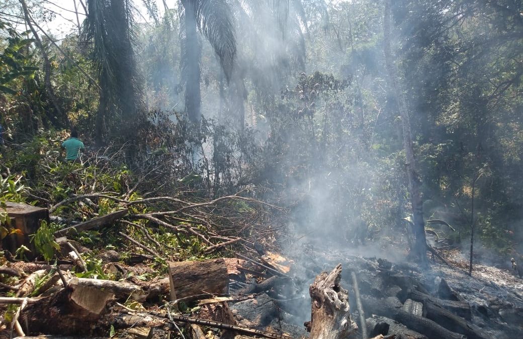INCENDIOS FORESTALES EN LA REGION DE SONOCUSCO