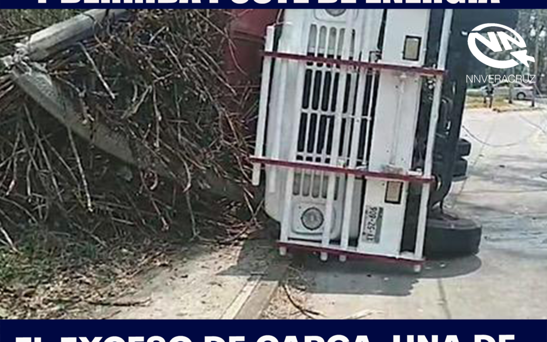 VUELCA CAMIÓN CAÑERO